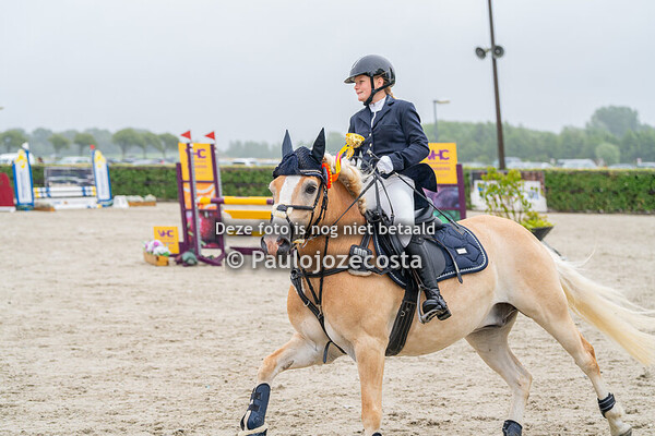 NH Regionals 70cm ponys