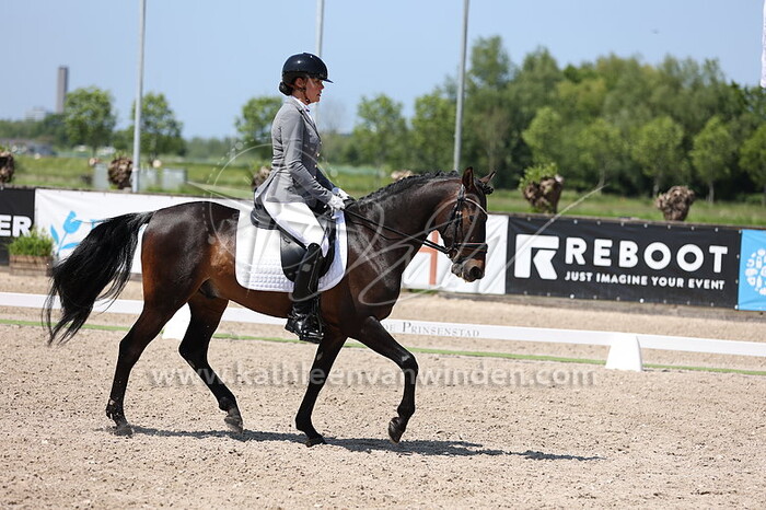 Mascha Borges - Navaro