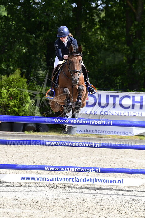 Nikita Cheung - Snow-Flake v.d. Laarse Heide Z