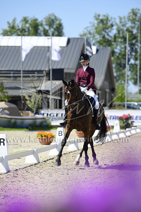 Sandy van der Salm - Genesis van de Meerhoeve