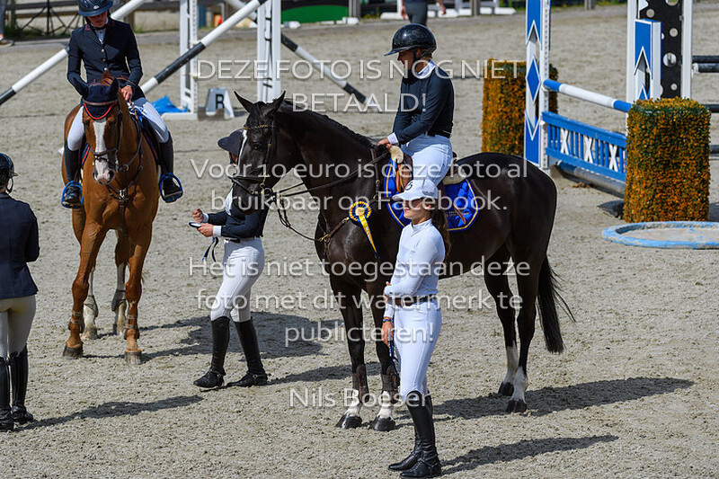 6 Paarden Klasse 100cm