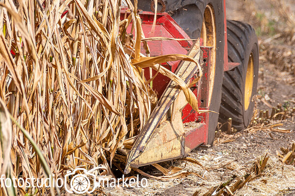 Hakselploeg 7 - Hakseldag 2022
