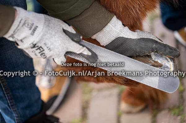 Opening Kinderboerderij 't Ganzenbos Cuijk