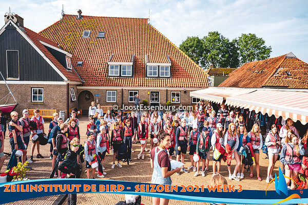 De Bird - Week 3, 2021