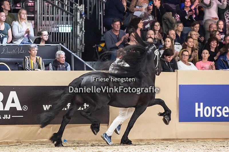 Hengstenkeuring 2020 Fonger 478