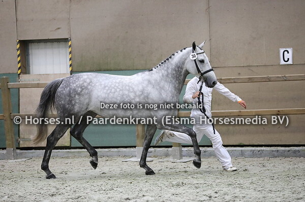 30 Jarcona v Mylord Carthago