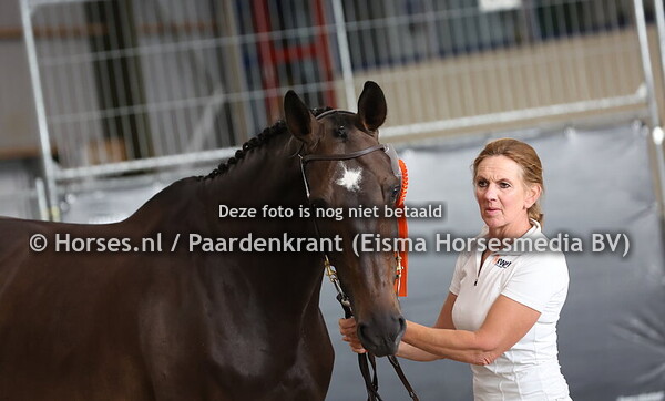 5 La Reine (Astrello x Polydor) met Gaby Maarse