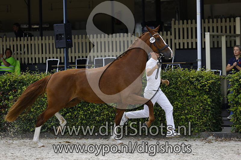 Pippa-Baringa v. Lloyd