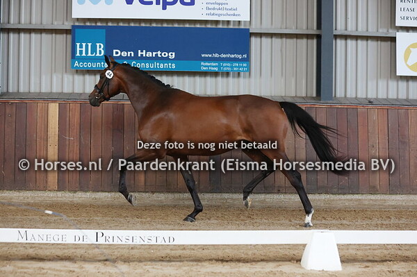 44 Prinz Elkanah W Ferdeaux x Evina v. Johnson)