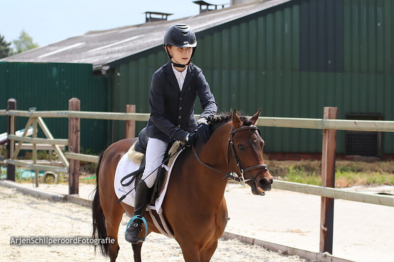 Hippisch Festijn PSV Polarfürst 26-05-2019 B ABC