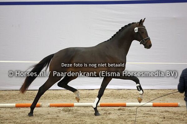 433 (Le Formidable x Charmeur)