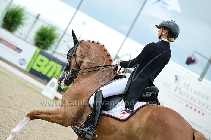 Tessa Kole - Hexagon's Nachtwacht