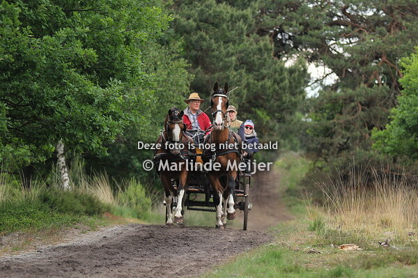 Eper paarden4daagse 2022