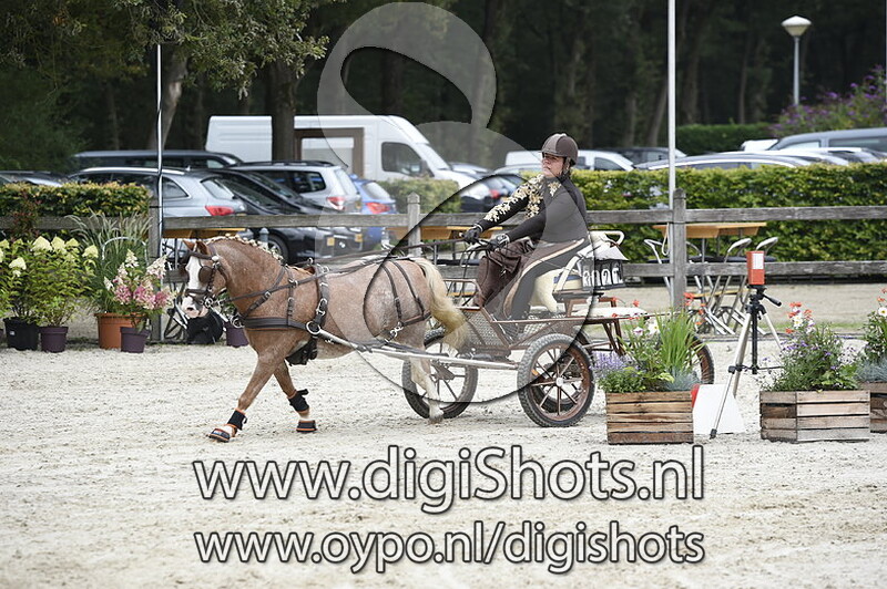 Carine Van der Drift Vos