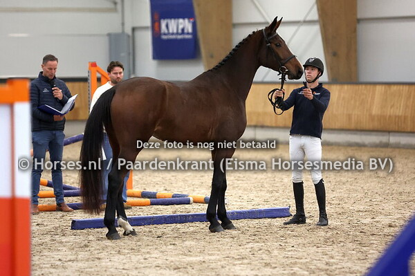 17 Seablue TR (Comme il faut x Capriola v. Mr Blue)