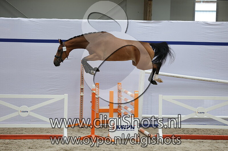 Spring Time Girl SHG v. Check In