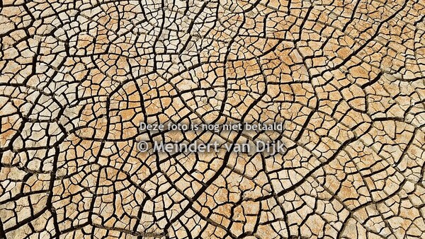 Natuur aan de Muur - Wanddecoratie