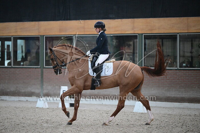 Denise Brouwer - Onique