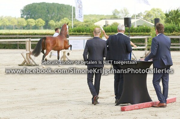 01. 3-jarige vb merries