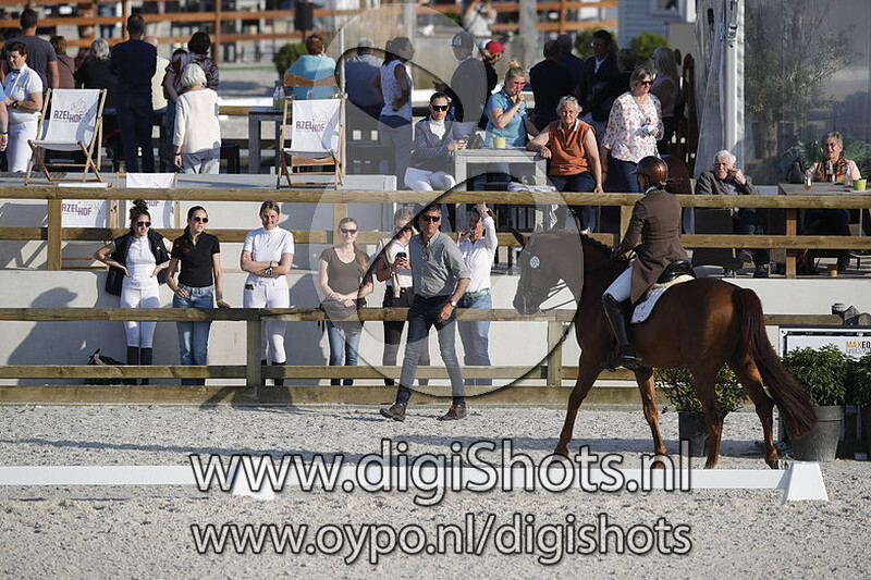 Golddream vd Kempenhoeve