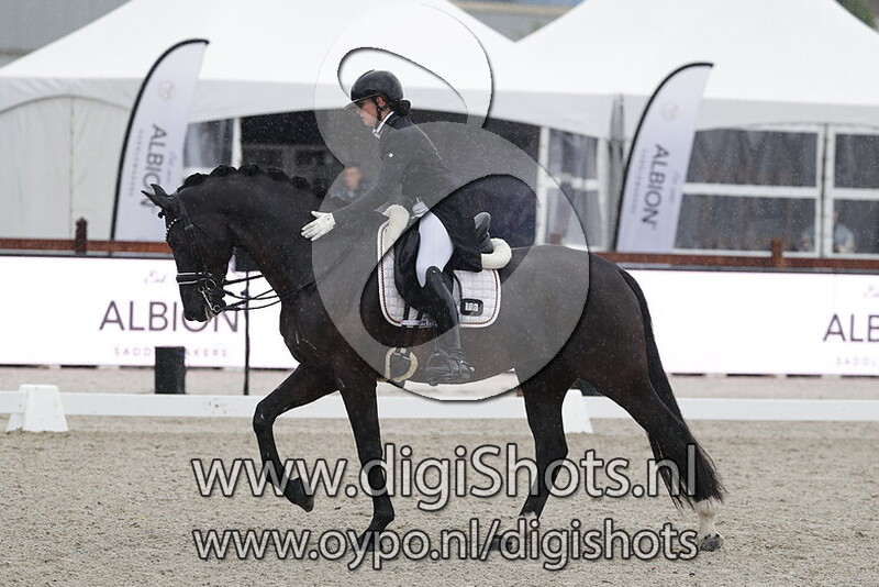 Desperatio vd Biebosschen