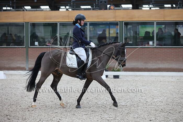 Demi Polfliet - Hazelberg's Rinaldo