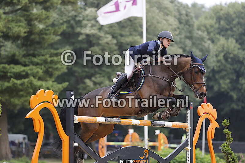 Ingemar Hammarstro¨m