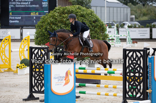 Britt Driessen - Dia-mood Z