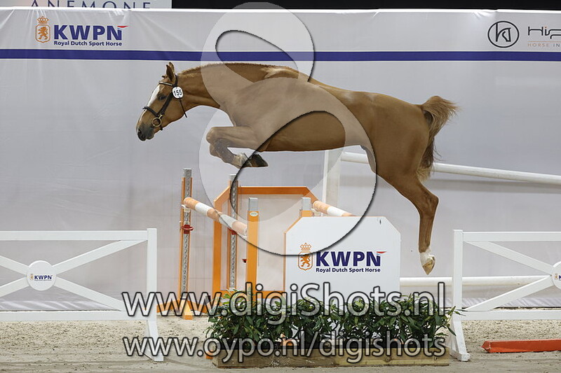 Olano v. Manchester van t Paradijs