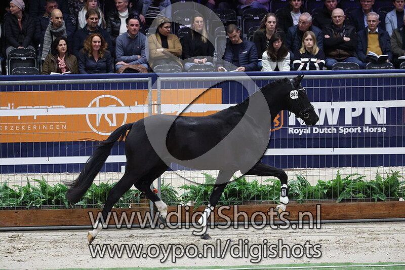 Secret Romance H v. For Romance