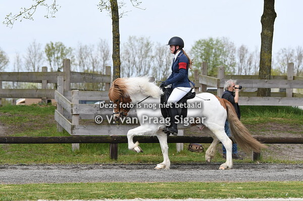 Hippisch Centrum Exloo 