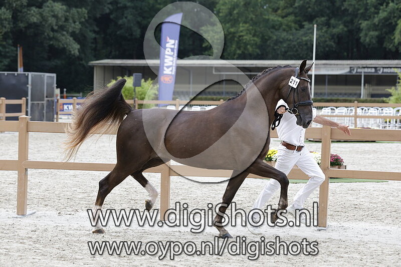 Surprise by Starlight VDW v. Bellany