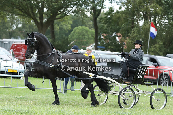 Friezen Limiet Groep 2