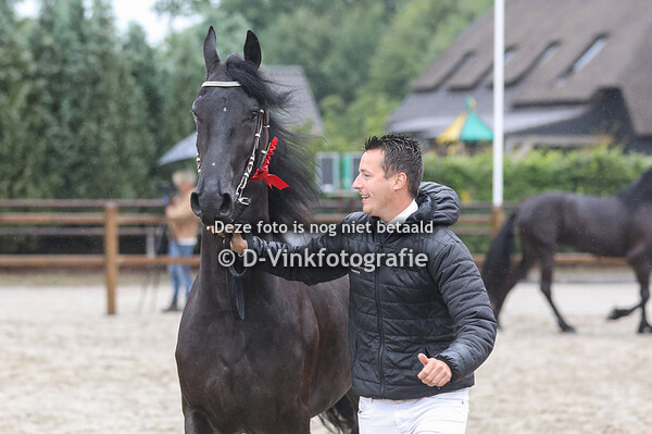 71. Siepie van Phidor