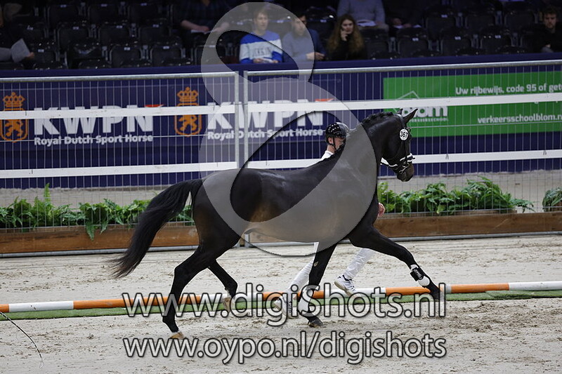 Rebound v. Furst Dior - 367