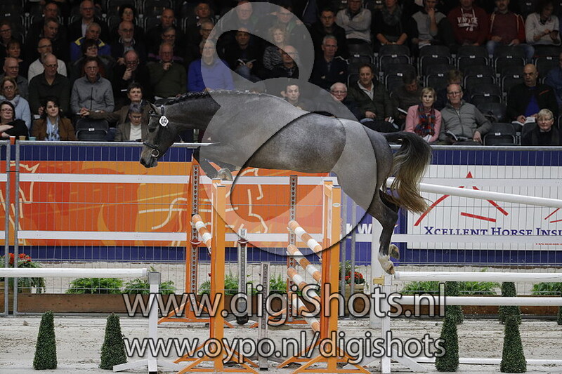 Cornet de Regor DM Z 60