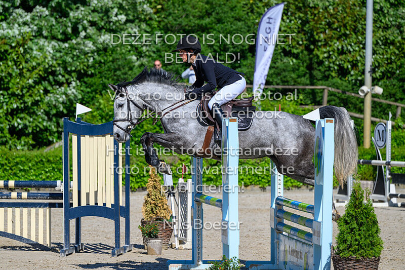 2 vrijdag  1.00m paarden