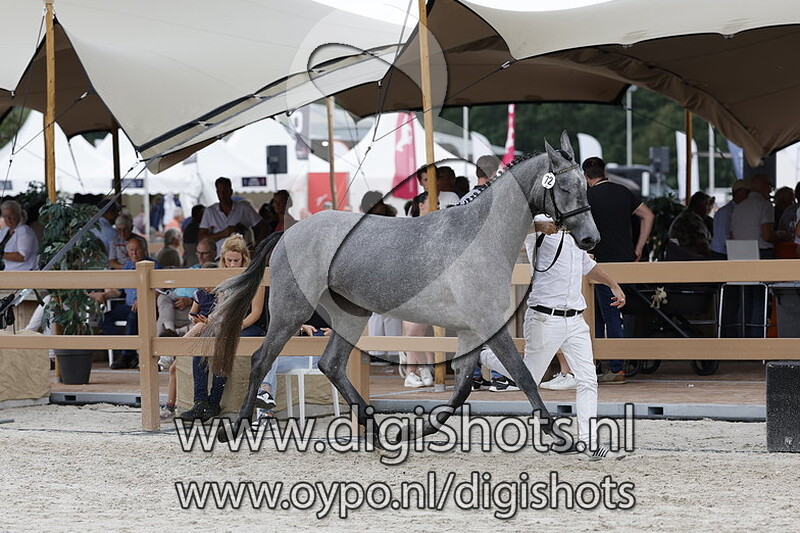 Persinaa v. Kobalt VDL