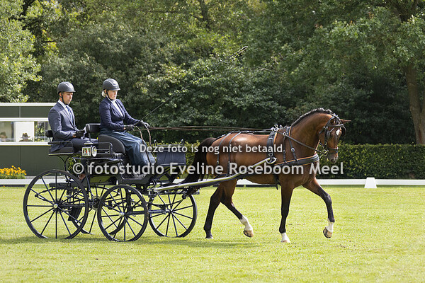 Hippiade 2023 mennen -dressuur