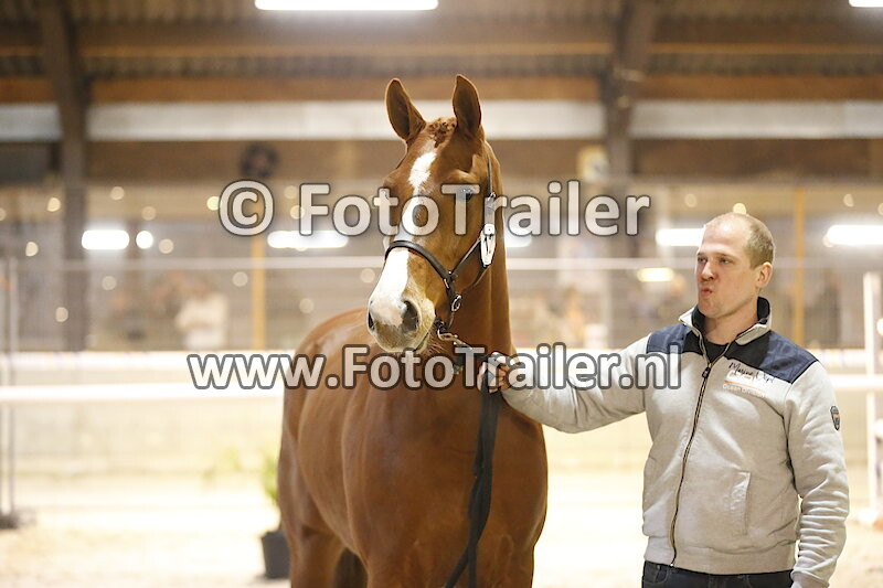 Prijsuitreiking 3 Jarigen