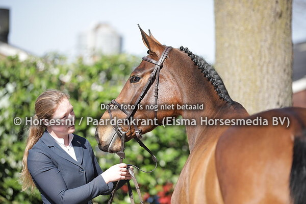 23-03-22 IBOP KWPN Luttenberg