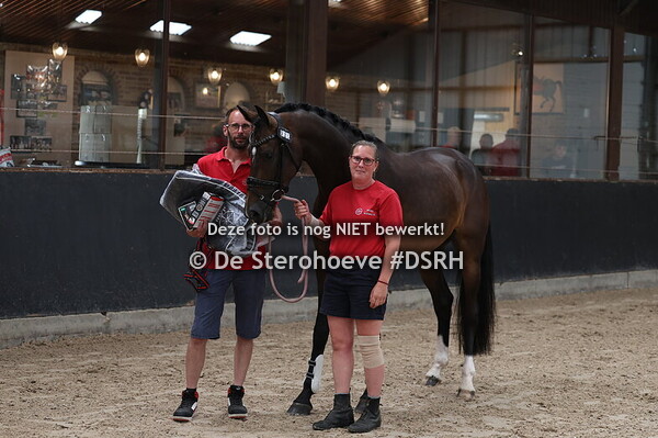 6. Vrij bewegen dressuur