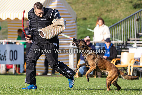 Janice Mattarel-Yüksel with  Lizan vom Hunnenkönig