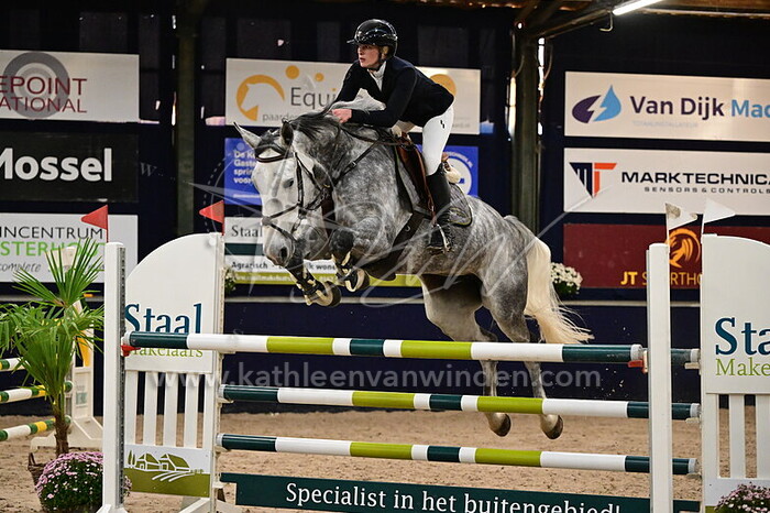 Katherine Brewer - Ultime