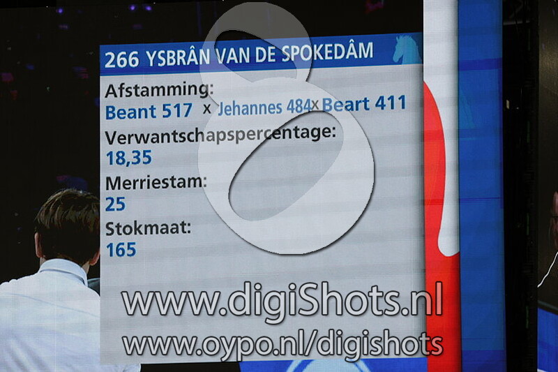 Ysbran van de Spokedam
