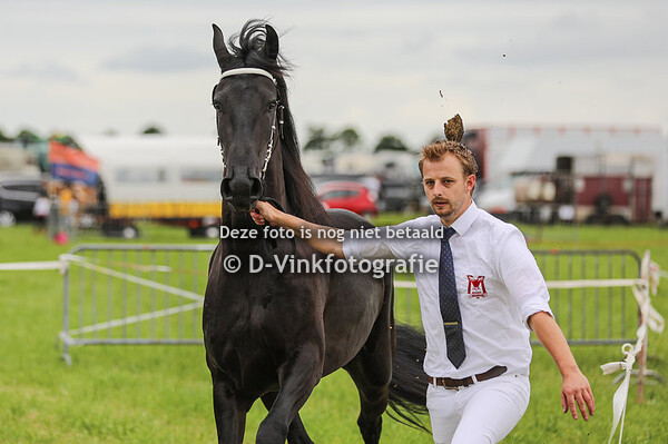 32. Jewel van Zomerstaete