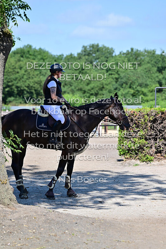 4 Paarden oefenspringen 80-90cm