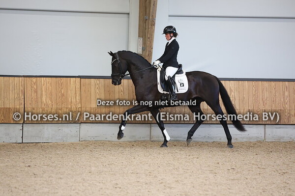 32 Sondale (Glamourdale x Vivaldi)