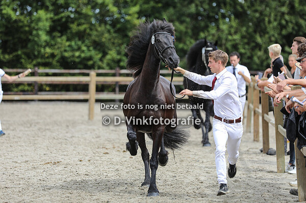 105. Tinke van het Binnenveld