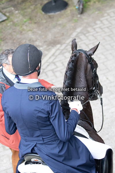 Vincent van Gasselt - Delacroix